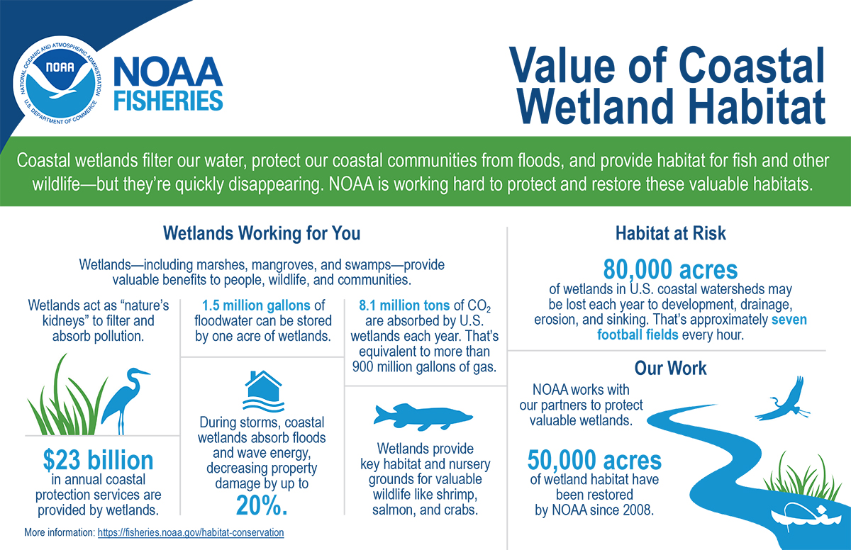 Value of Coastal Wetland Habitat | response.restoration.noaa.gov